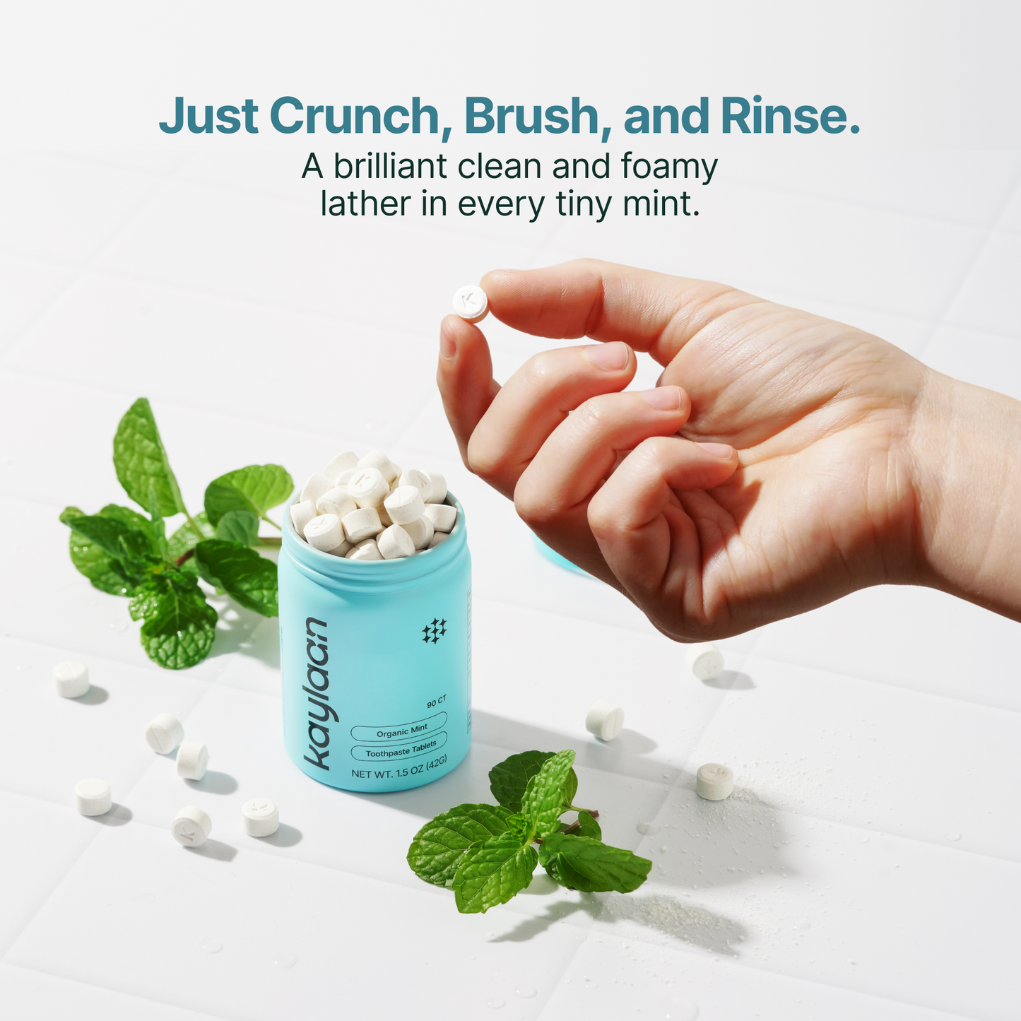 Fluoride Mint Starter Kit