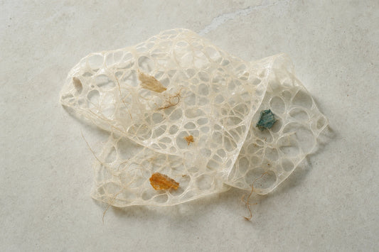 Conceptual macro image of a translucent porous mesh holding a few irregular fragments and fibers.